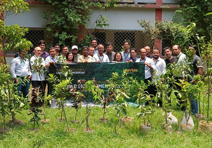 Global tree planting initiatives