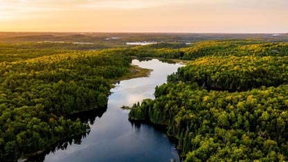 Paysage d'une forêt traversée par une rivière