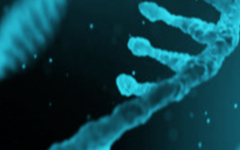 COVID-19 mRNA Drug Development Characterisation